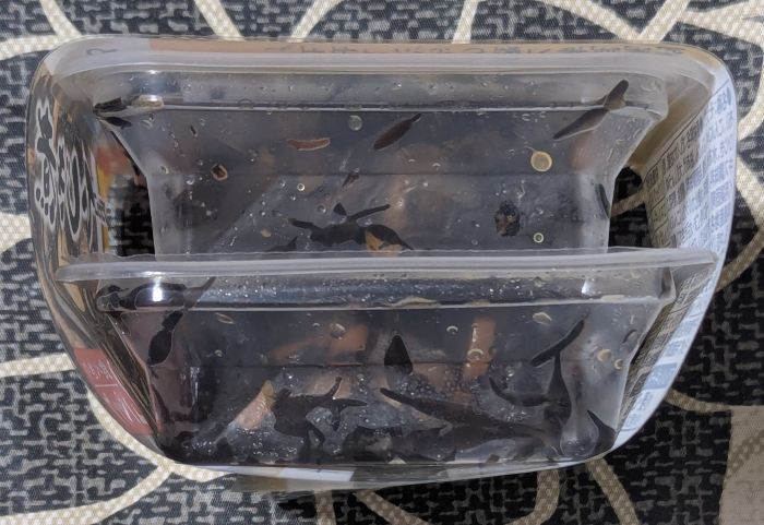 ひじき煮側面２