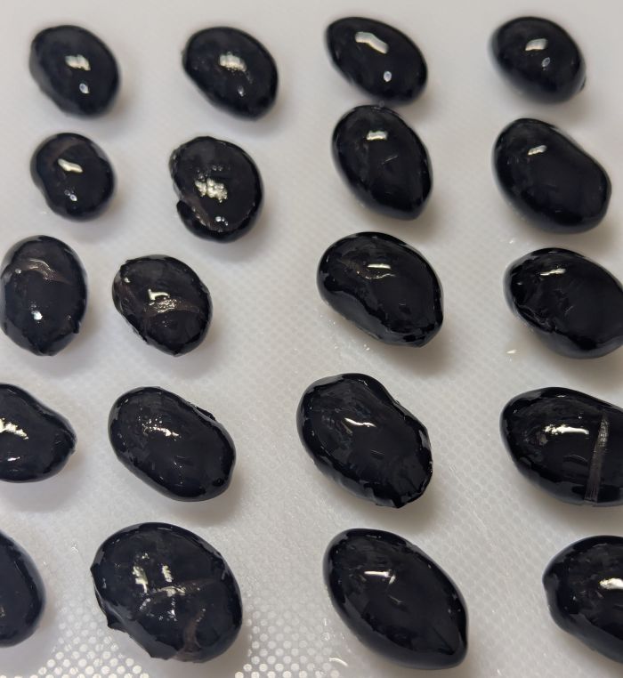 黒豆大きさ比較２